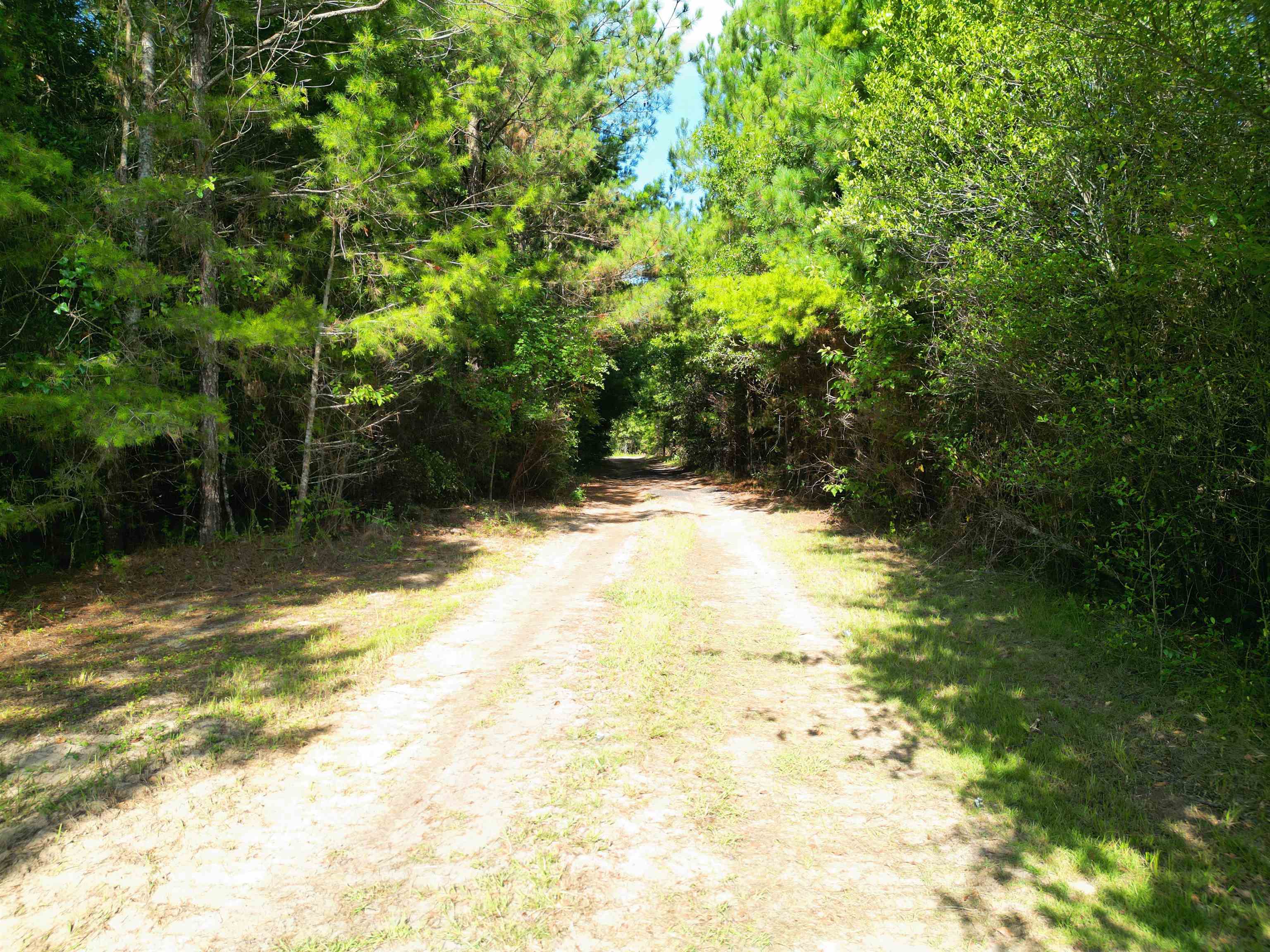 XXX Greensboro Highway