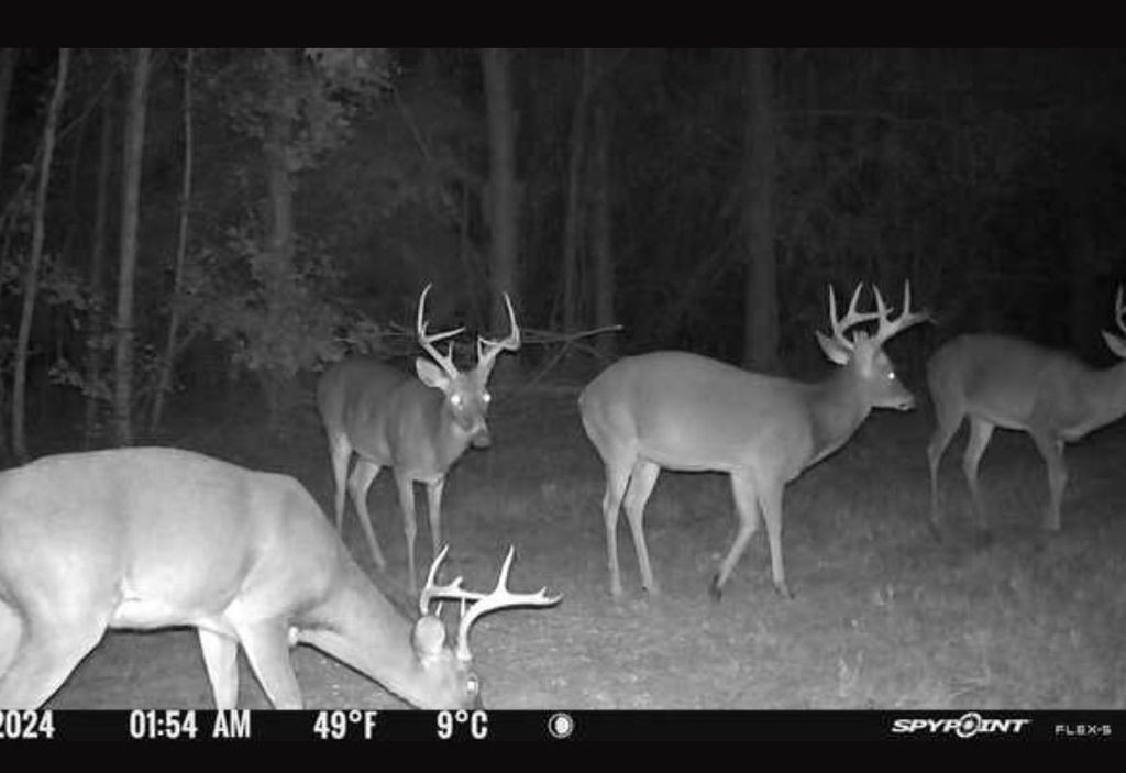 Photo of XXX Greensboro Highway, Quincy, FL 32351 (MLS # 389010)