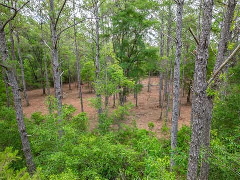 Tiny photo for X Crawfordville Highway, Crawfordville, FL 32327 (MLS # 401519)