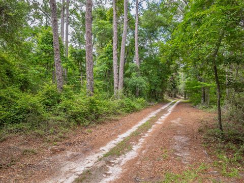 Tiny photo for X Crawfordville Highway, Crawfordville, FL 32327 (MLS # 401519)