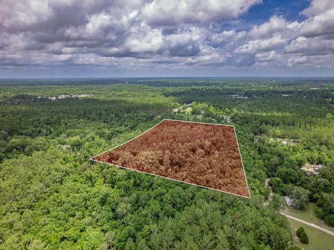 Tiny photo for X Crawfordville Highway, Crawfordville, FL 32327 (MLS # 401519)