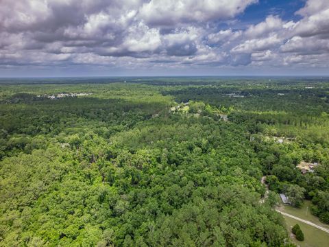 Tiny photo for X Crawfordville Highway, Crawfordville, FL 32327 (MLS # 401519)