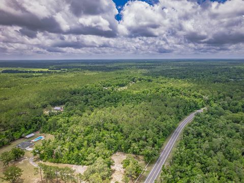 Tiny photo for X Crawfordville Highway, Crawfordville, FL 32327 (MLS # 401519)