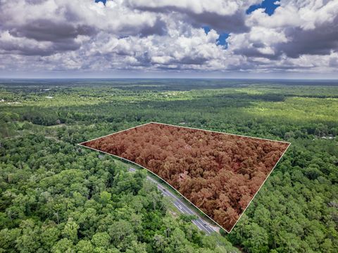 Tiny photo for X Crawfordville Highway, Crawfordville, FL 32327 (MLS # 401519)