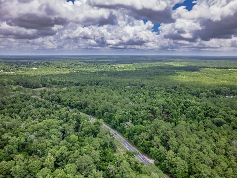 Tiny photo for X Crawfordville Highway, Crawfordville, FL 32327 (MLS # 401519)