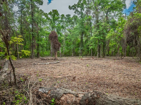 Tiny photo for X Crawfordville Highway, Crawfordville, FL 32327 (MLS # 401519)