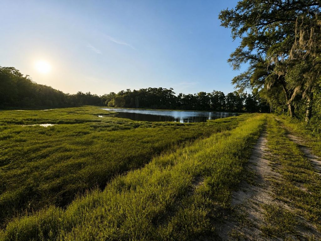 Photo of 0 KEMP Road, Havana, FL 32333 (MLS # 399766)