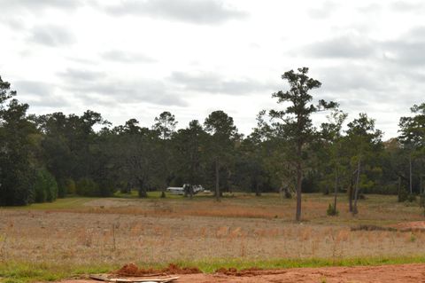 A home in Tallahassee