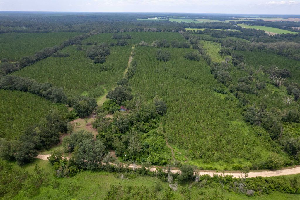 Photo of xxx NE Geranium Street, Madison, FL 32340 (MLS # 379814)