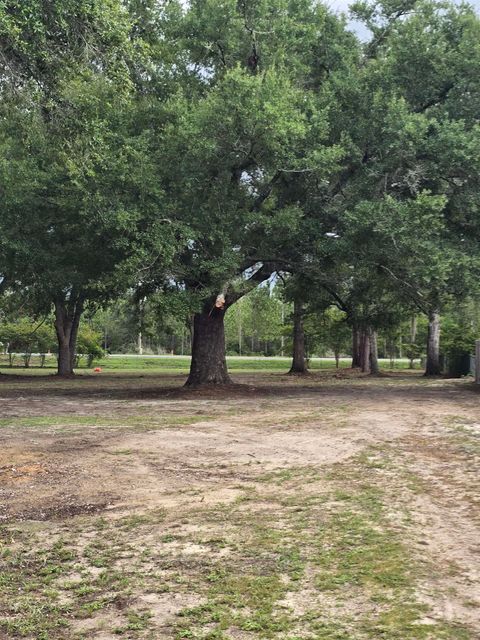 Tiny photo for 8049 BLOUNTSTOWN HWY HWY, Tallahassee, FL 32310 (MLS # 402646)
