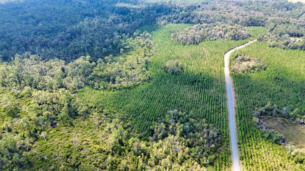 Photo of Lot 2 SW Wonderwood Street, Greenville, FL 32331 (MLS # 391332)