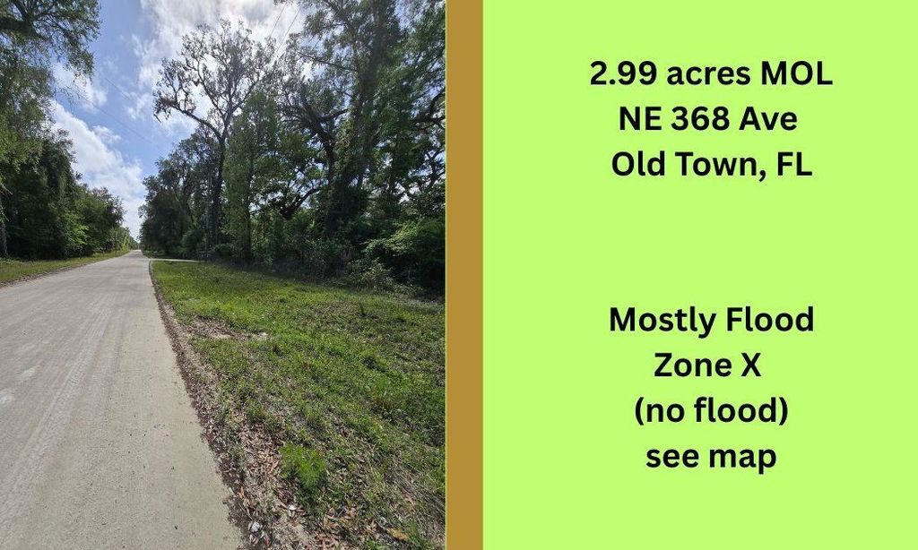 Photo of TBD NE 368th Avenue, Other Florida, FL 32680 (MLS # 398384)