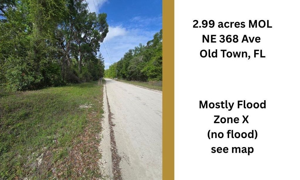 Photo of TBD NE 368th Avenue, Other Florida, FL 32680 (MLS # 398384)