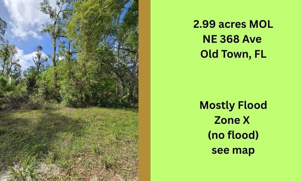 Photo of TBD NE 368th Avenue, Other Florida, FL 32680 (MLS # 398384)