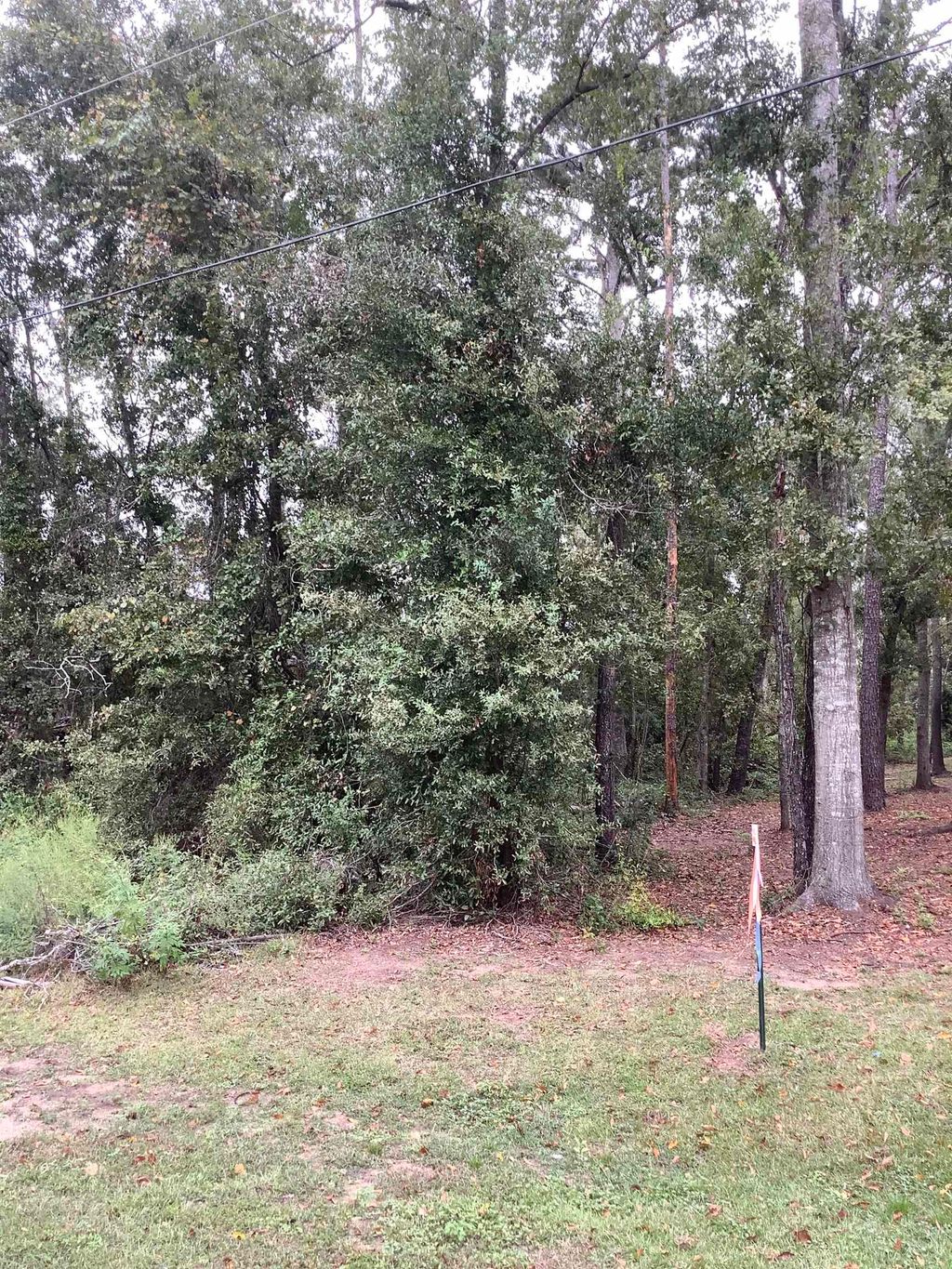 Photo of TBD SW Summerset Way, Madison, FL 32340 (MLS # 391618)