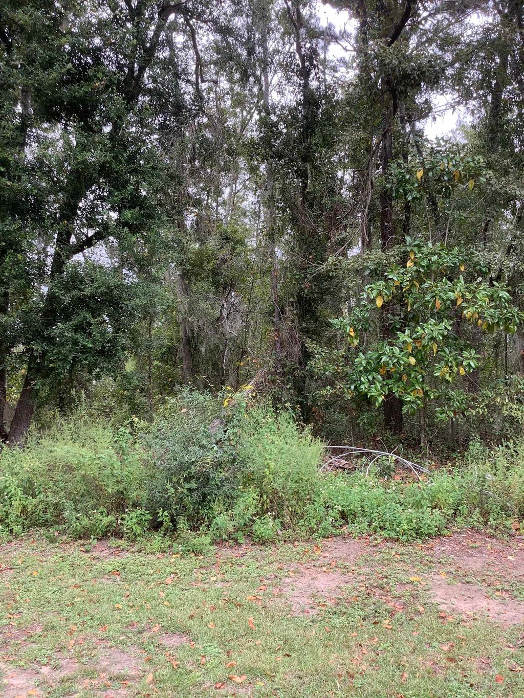 Photo of TBD SW Summerset Way, Madison, FL 32340 (MLS # 391618)