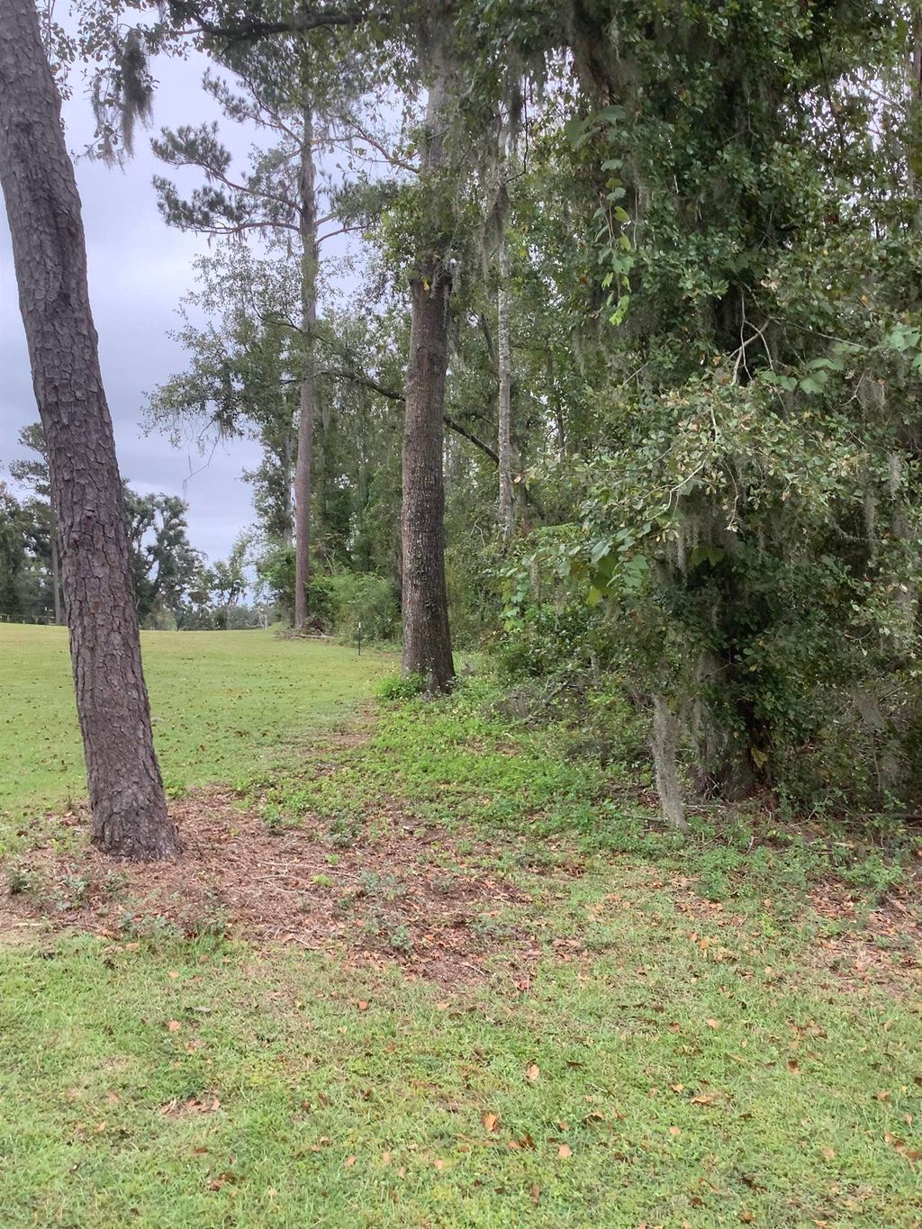Photo of TBD SW Summerset Way, Madison, FL 32340 (MLS # 391618)