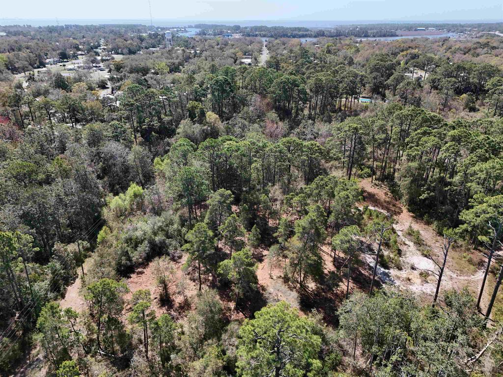 Photo of VACANT NW 3rd Street, Carrabelle, FL 32322 (MLS # 397554)