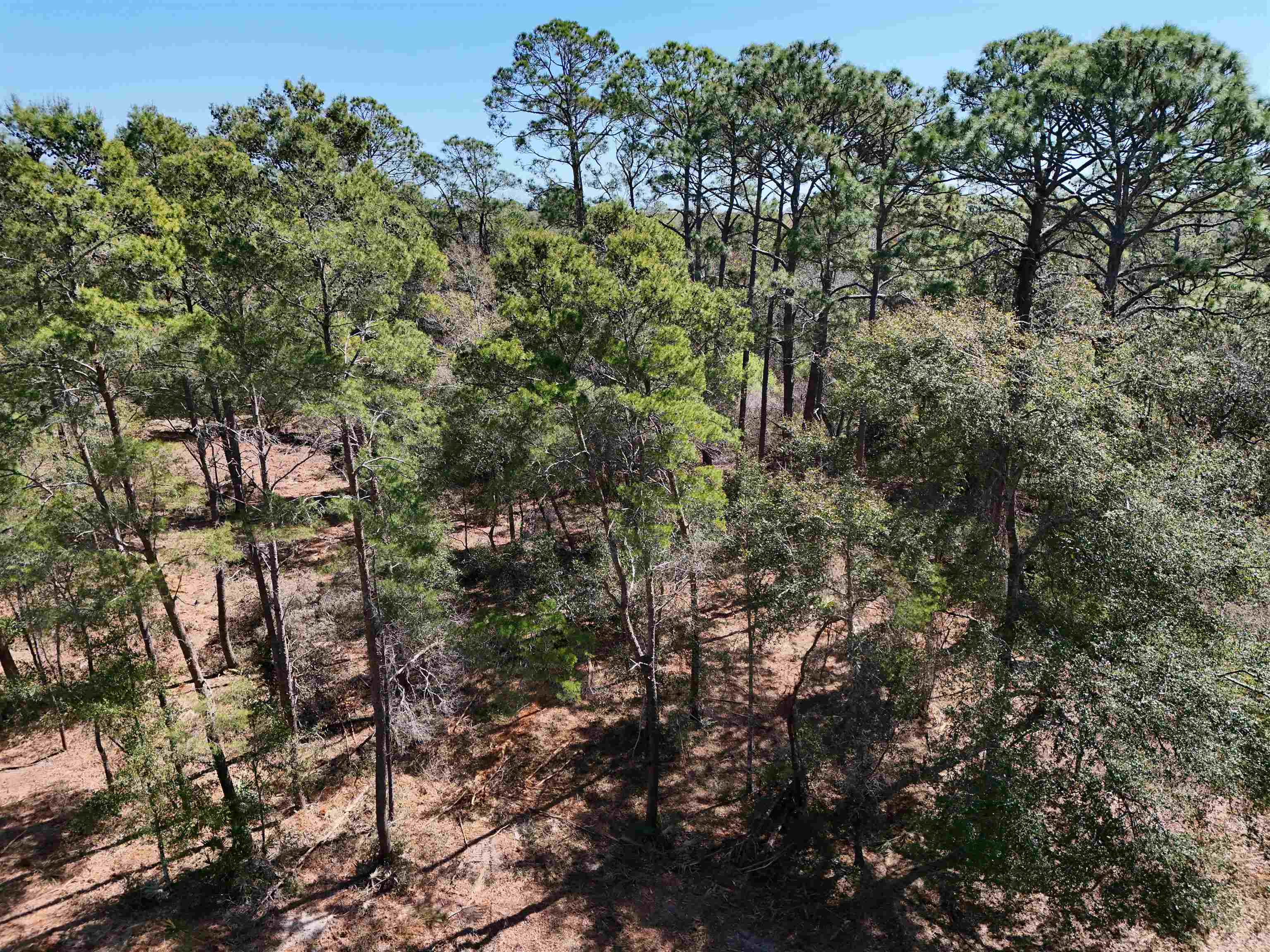 Photo 1 of 16 — VACANT NW 3rd Street, Carrabelle, FL 32322