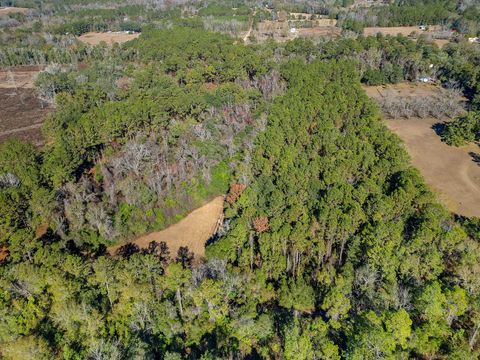 Tiny photo for 262 Red Fox Lane, Havana, FL 32333 (MLS # 394444)