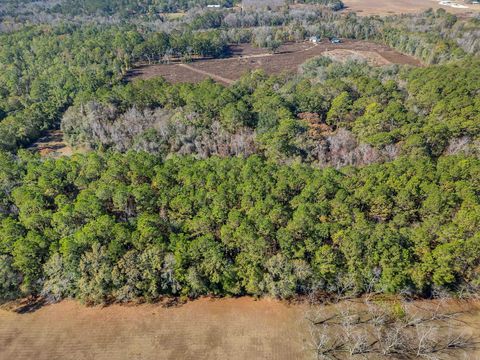 Tiny photo for 262 Red Fox Lane, Havana, FL 32333 (MLS # 394444)