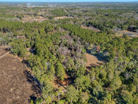 Tiny photo for 262 Red Fox Lane, Havana, FL 32333 (MLS # 394444)