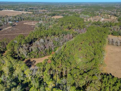 Tiny photo for 262 Red Fox Lane, Havana, FL 32333 (MLS # 394444)