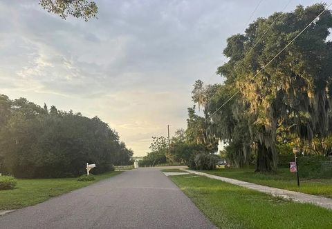 Tiny photo for 110 S Winona Avenue, Other Florida, FL 33850 (MLS # 401995)