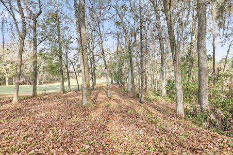 Tiny photo for 7628 Preservation Road, Tallahassee, FL 32312 (MLS # 394802)