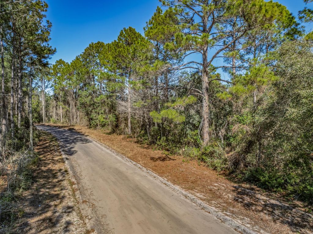Photo of Lot 3 Jer-Be-Lou Circle, Panacea, FL 32346 (MLS # 395617)