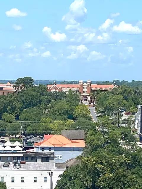Tiny photo for 215 W College Avenue #604, Tallahassee, FL 32301 (MLS # 399146)