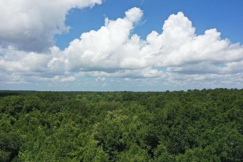 Photo of XX S Lanier Road, Havana, FL 32333 (MLS # 388812)