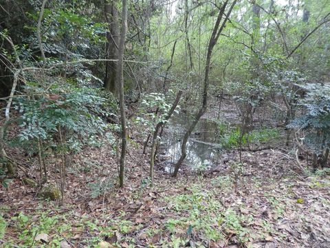 Tiny photo for 7115+7117 THOMASVILLE Road #0, Tallahassee, FL 32312 (MLS # 383291)