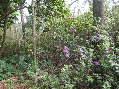 Tiny photo for 7115+7117 THOMASVILLE Road #0, Tallahassee, FL 32312 (MLS # 383291)