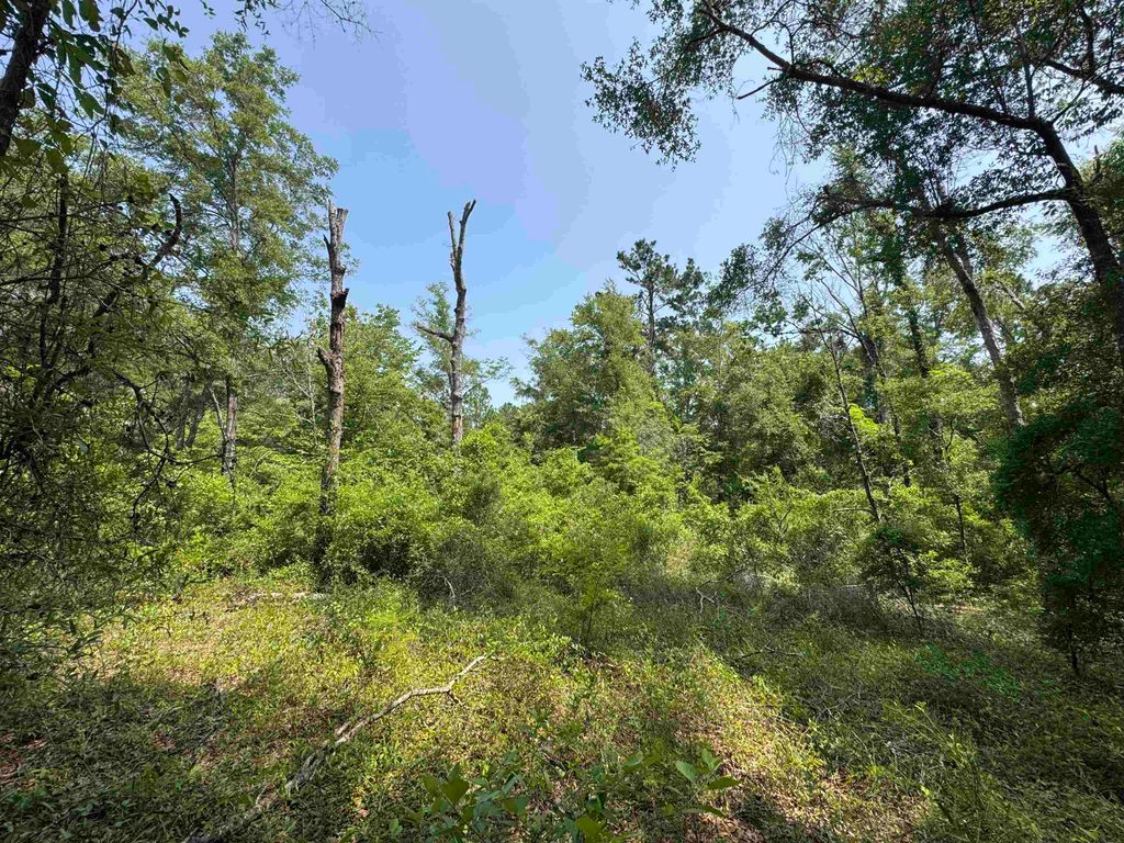 Photo of 0 Tern Road, Tallahassee, FL 32305 (MLS # 386882)