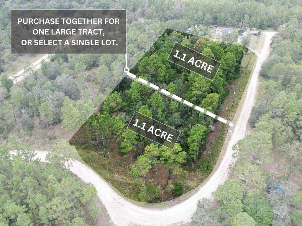 Photo of Vacant NE 111th Lane, Other Florida, FL 32621 (MLS # 392338)