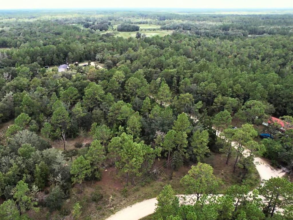 Photo of Vacant NE 111th Lane, Other Florida, FL 32621 (MLS # 392338)