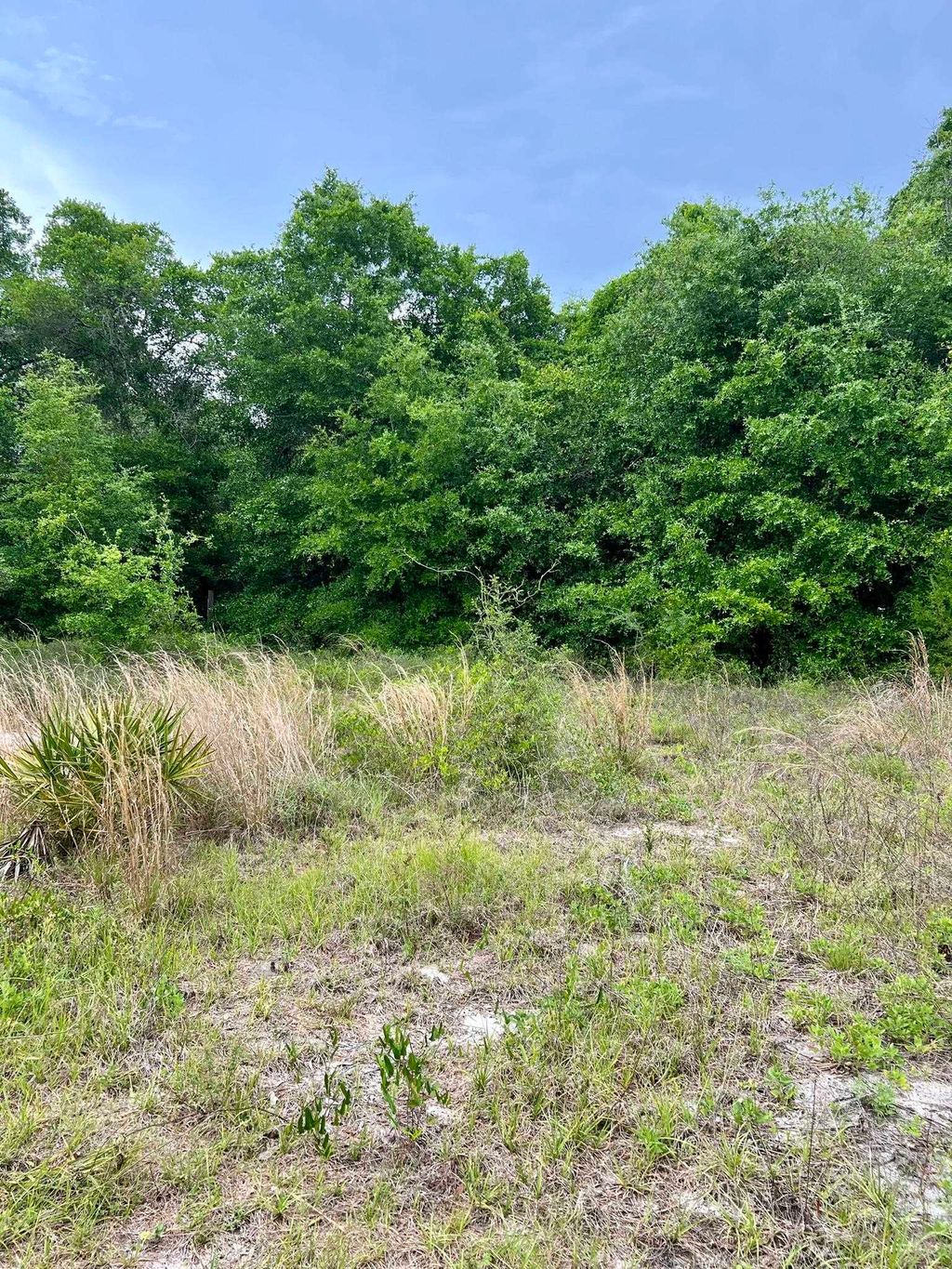 Photo of 2523 Palmetto Terrace, Lanark Village, FL 32323 (MLS # 393034)