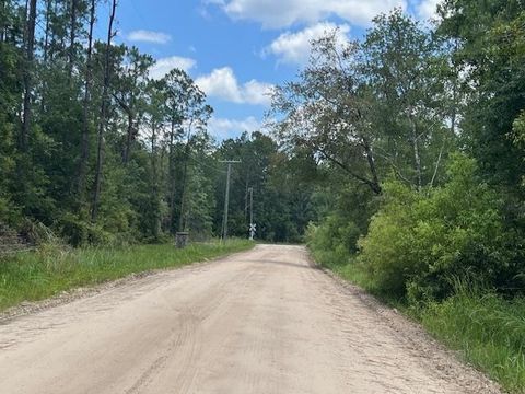 Tiny photo for TBD SW Open Sands Loop, Greenville, FL 32331 (MLS # 394483)