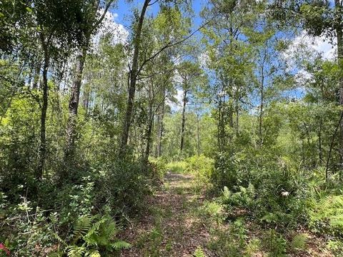 Tiny photo for TBD SW Open Sands Loop, Greenville, FL 32331 (MLS # 394483)