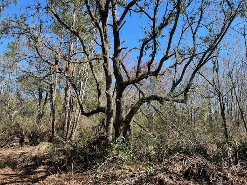 Photo of TBD SW Open Sands Loop, Greenville, FL 32331 (MLS # 394483)