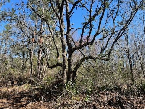Tiny photo for TBD SW Open Sands Loop, Greenville, FL 32331 (MLS # 394483)