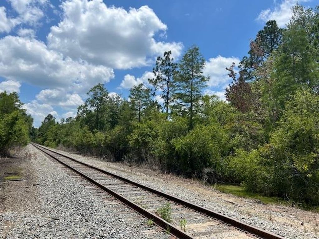 Photo of TBD SW Open Sands Loop, Greenville, FL 32331 (MLS # 394483)