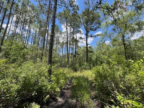 Photo of TBD SW Open Sands Loop, Greenville, FL 32331 (MLS # 394483)