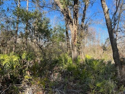 Tiny photo for TBD SW Open Sands Loop, Greenville, FL 32331 (MLS # 394483)