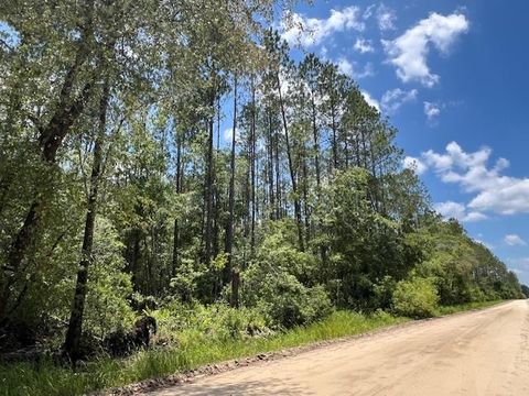 Tiny photo for TBD SW Open Sands Loop, Greenville, FL 32331 (MLS # 394483)