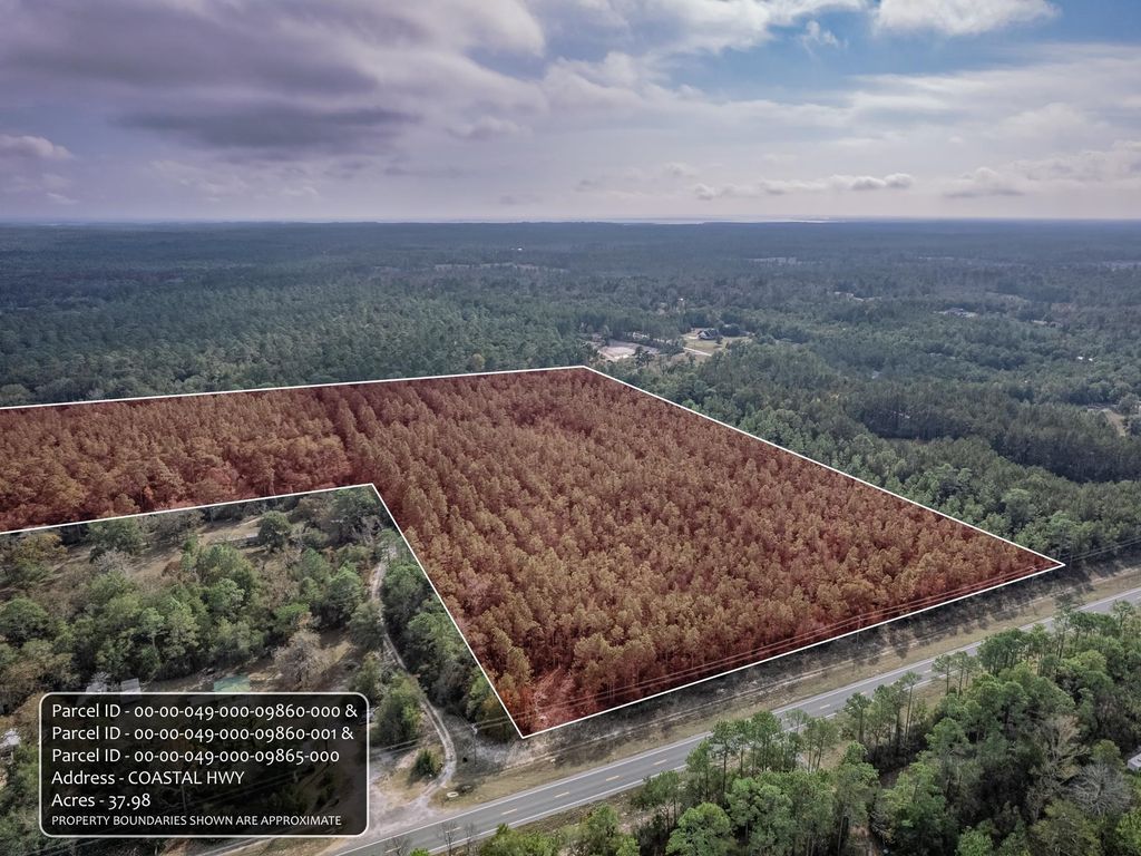 Photo of 4653 Coastal Highway, Crawfordville, FL 32327 (MLS # 393689)