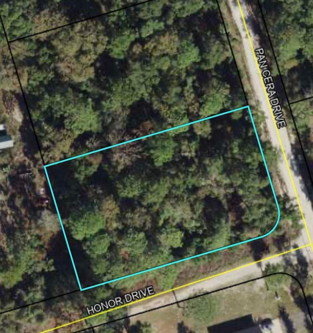 Photo of Pan Cera Drive, Crawfordville, FL 32327 (MLS # 395804)