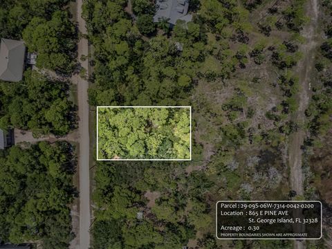 Tiny photo for 865 E Pine Avenue, St George Islan, FL 32328 (MLS # 398073)