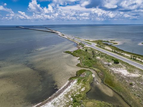 Tiny photo for 865 E Pine Avenue, St George Islan, FL 32328 (MLS # 398073)